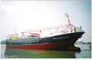 300 噸級 延繩釣兼運搬漁船